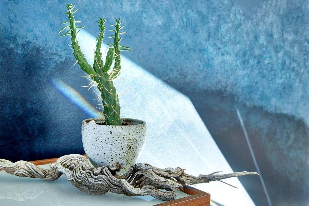 Skyhouse Vila Joshua Tree Exterior foto